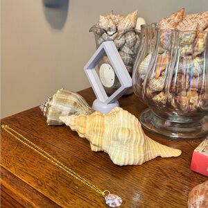 Gold Necklace with natural Shell Pendant